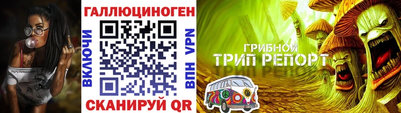 Галлюциногенные грибы Cubensis  Цимлянск 